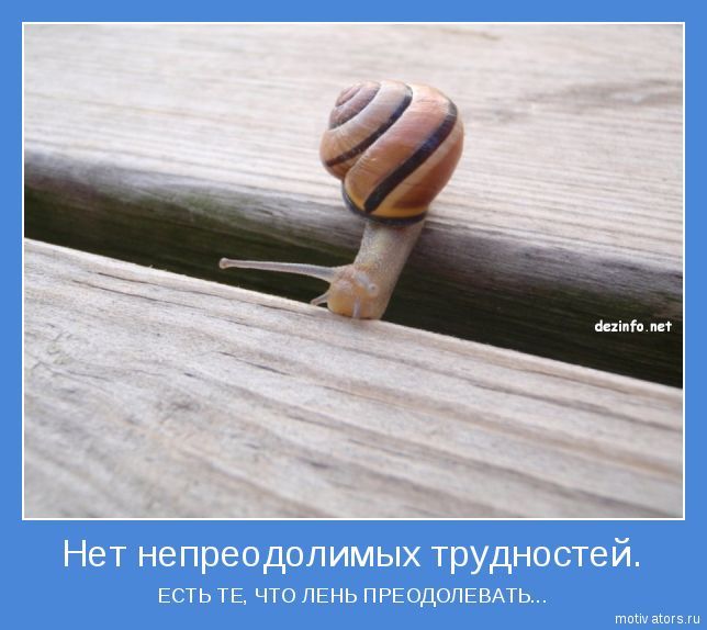 Взлет 74 день 13