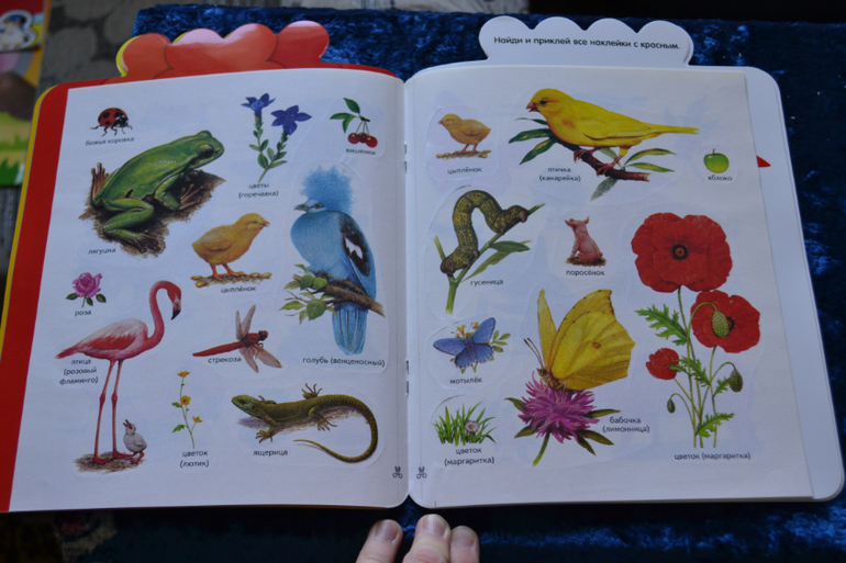 Большой обзор или ТОП-25 журналов с наклейками для сына