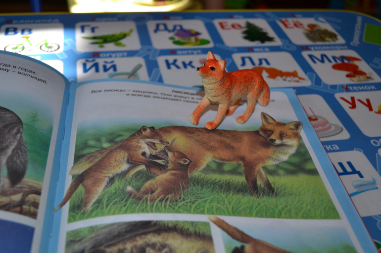 Наши животные