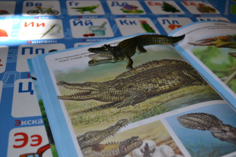 Наши животные