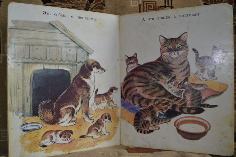 Наш букинистический клад)