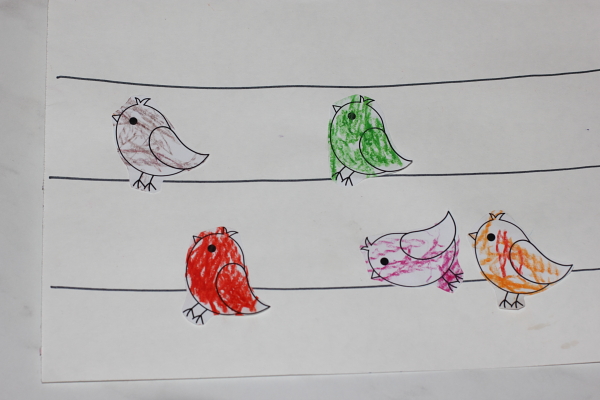 ТН Птицы. День 2