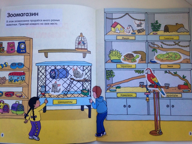 Наши занятия.