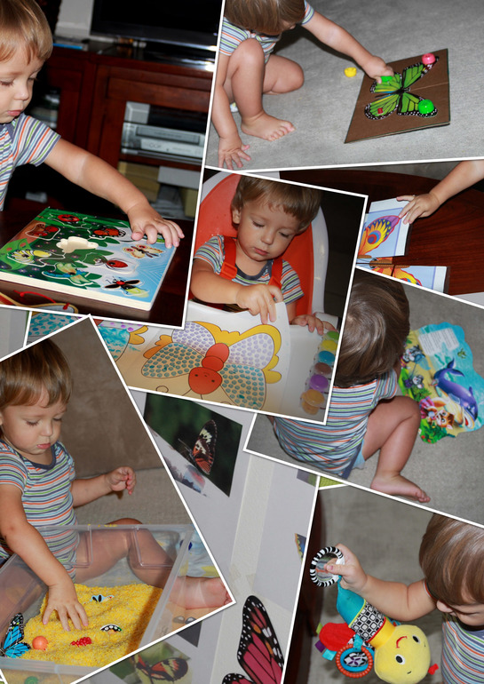 Первый тематический день- бабочки