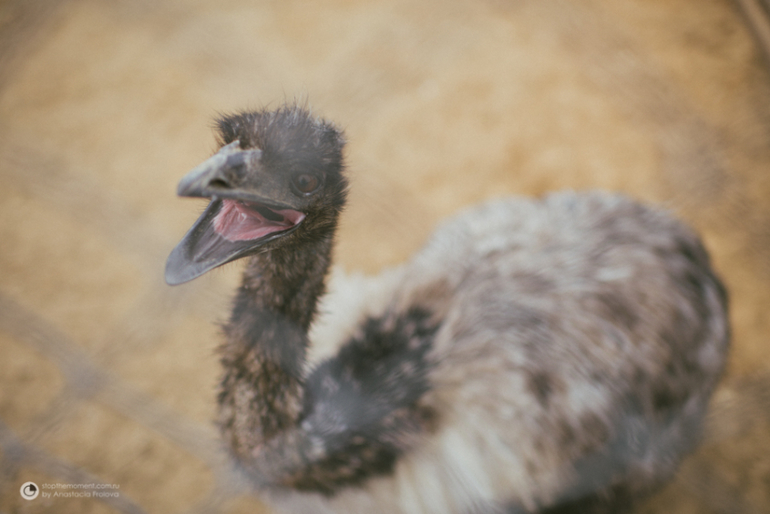 Экзотик парк на Калужском шоссе