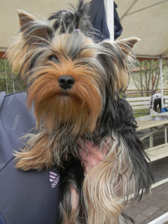 Давненько не показывались!