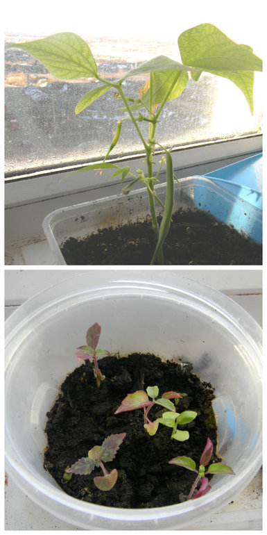 Давненько не показывались!