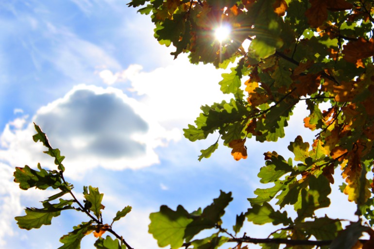 Ловили краски осени:)