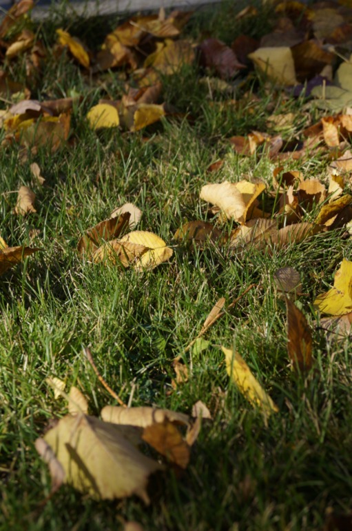 Желтая неделька 3 из 6.