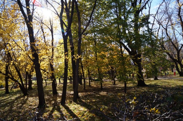 Желтая неделька 3 из 6.