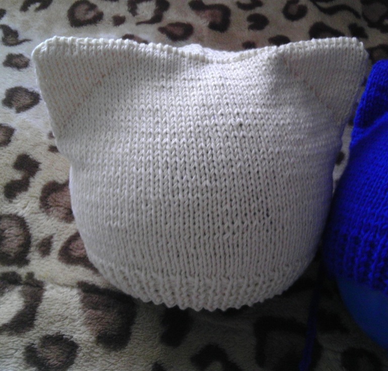 Шапки-кошки и жилет!)