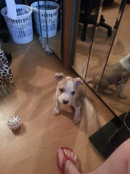 Наша Адочка