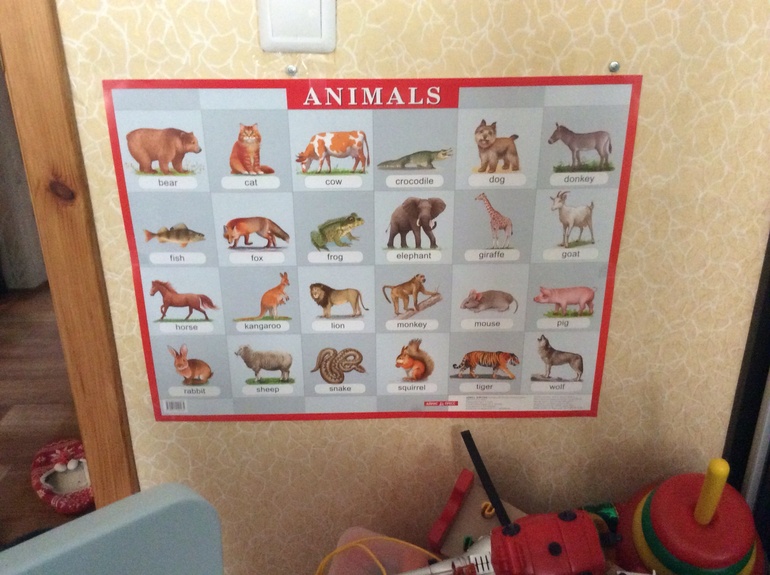 Наглядные материалы (плакаты) в нашей жизни.