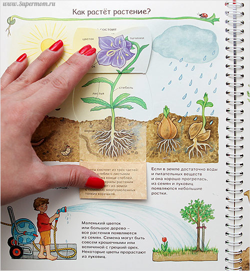 Наше энциклопедическое, книжное