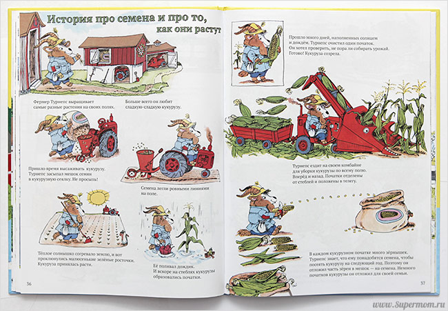 Наше энциклопедическое, книжное