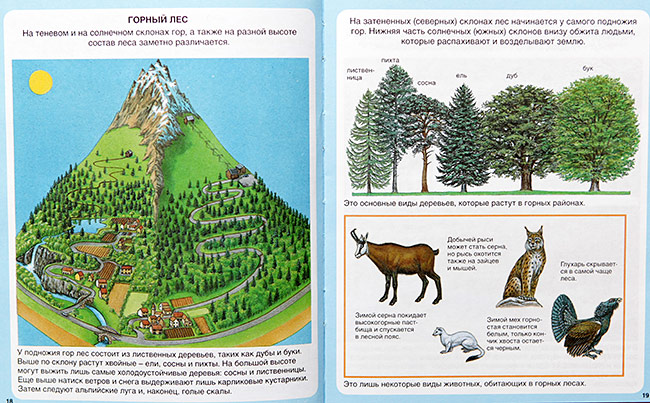 Наше энциклопедическое, книжное