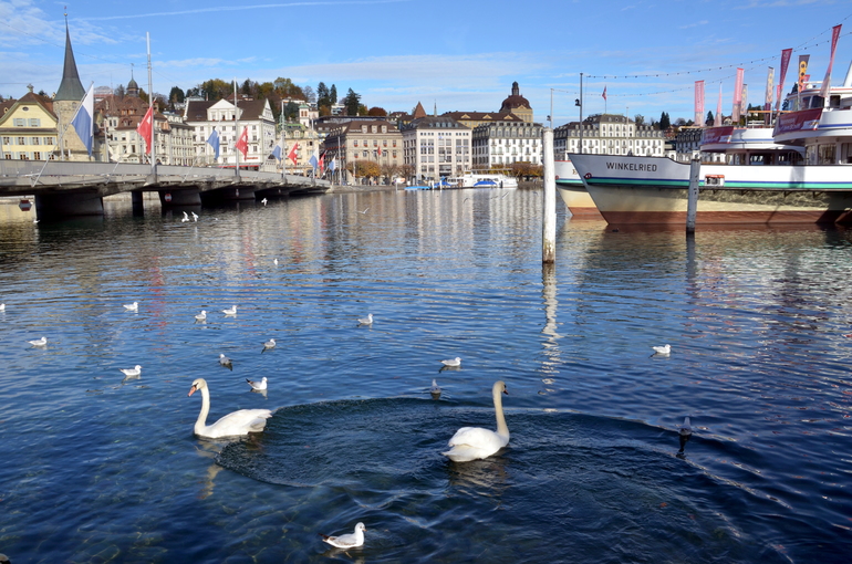 Приехали, пока фото)