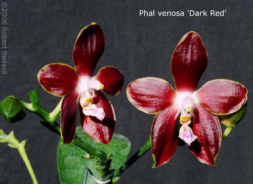 Расстроилась