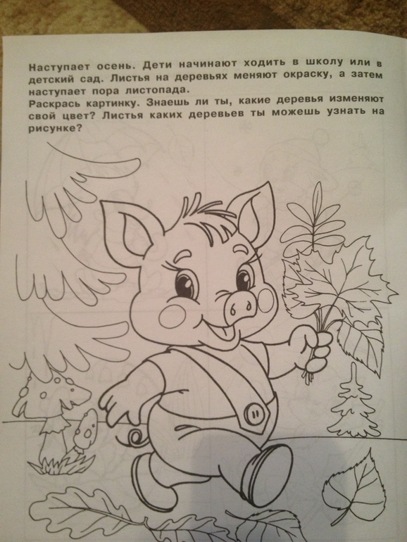 83f4cee5d812cb53d78a7698d744ef41.jpg