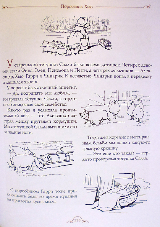 Все о кролике Питере и другие наши зайцы-иностранцы