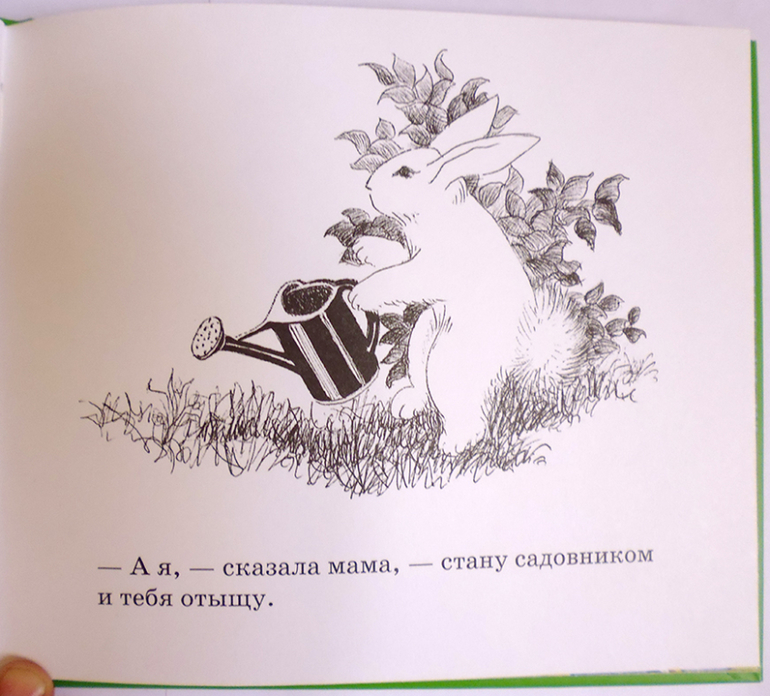 Все о кролике Питере и другие наши зайцы-иностранцы