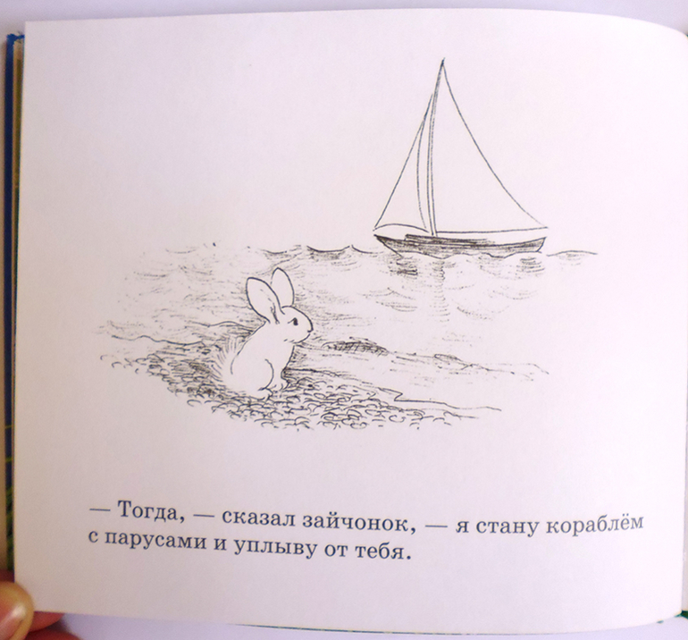 Все о кролике Питере и другие наши зайцы-иностранцы