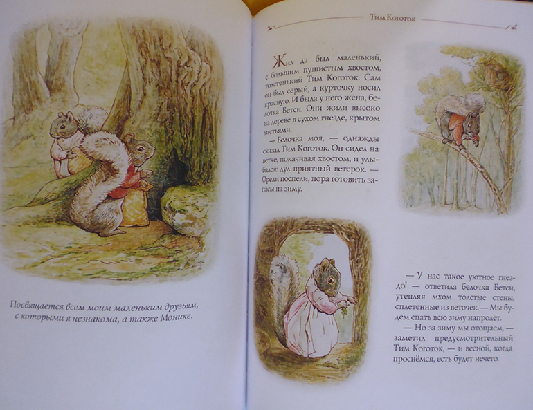 Все о кролике Питере и другие наши зайцы-иностранцы