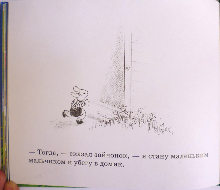 Все о кролике Питере и другие наши зайцы-иностранцы