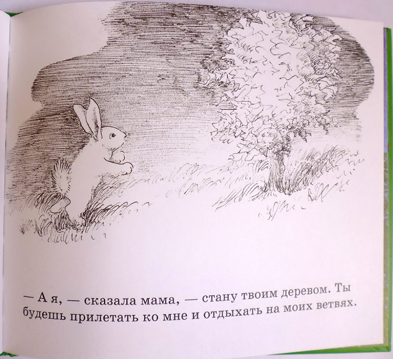 Все о кролике Питере и другие наши зайцы-иностранцы