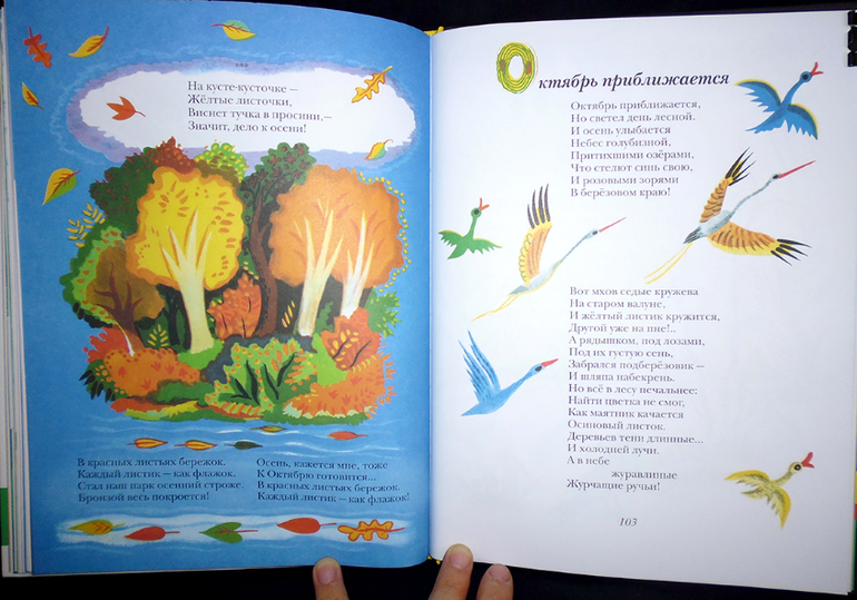 Калаушин днем и ночью!