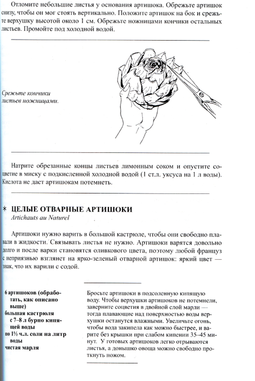 Не пропустите сезон: Артишоки!