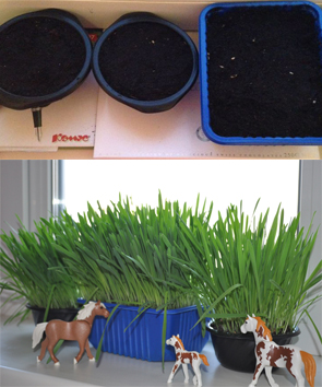 Сеяли мы сеяли....