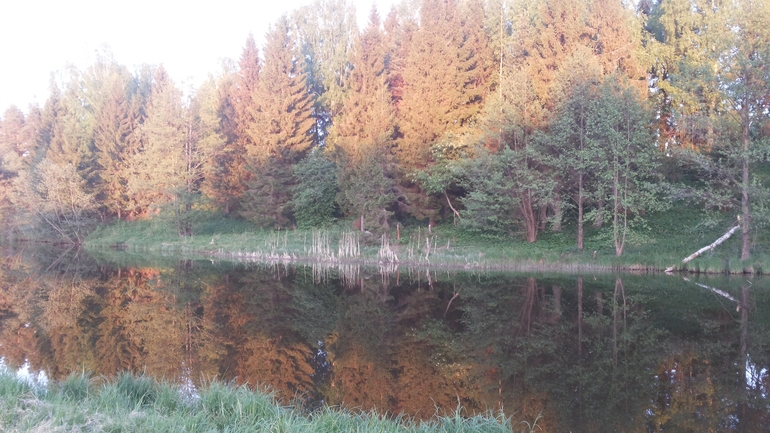 Посылки