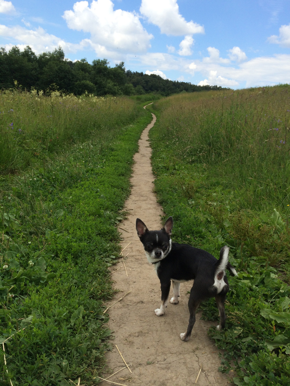 Парк Царицыно ЖДЕТ НАС!!!