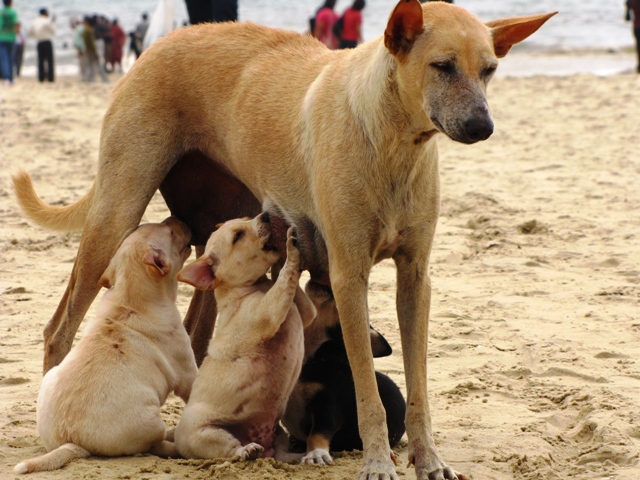 МЫ УЛЕТАЕЕЕМ!!!! ЕЕЕЕ