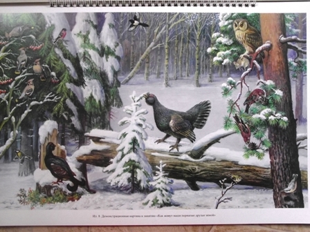 Добро пожаловать в экологию!