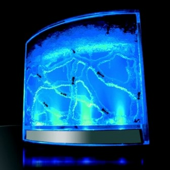 Тематическая неделька о насекомых и прочей мелюзге))