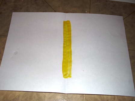 Тематическая неделька о насекомых и прочей мелюзге))