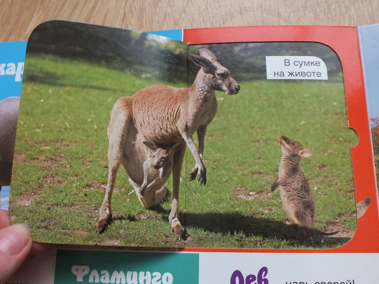 Пополнение библиотеки. Часть 4. Познавательная