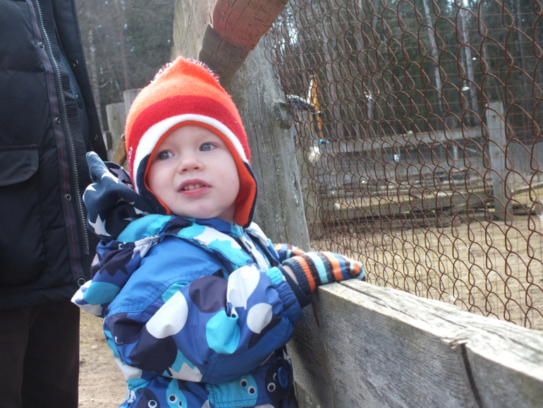 Прогулки с динозаврами) очень много фото