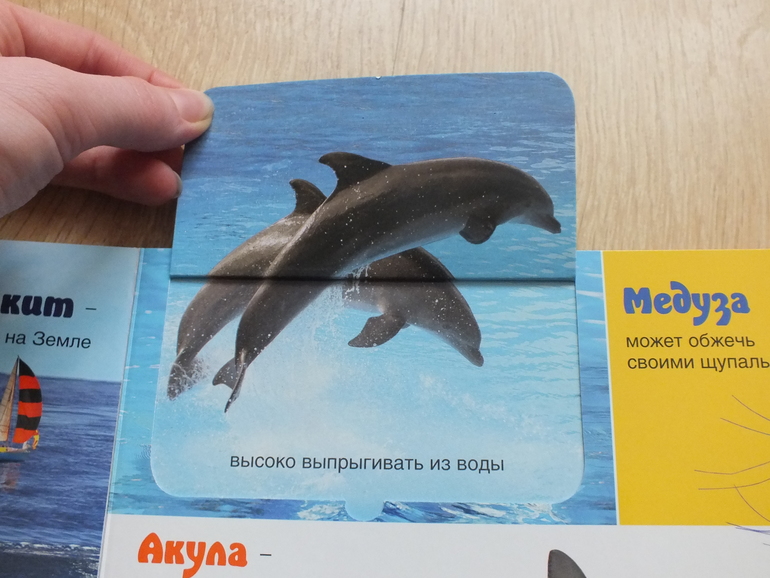 Пополнение библиотеки. Часть 4. Познавательная