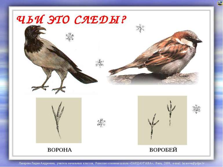 Как сделать воздушного змея дома 625 Как сделать воздушного змея дома 157