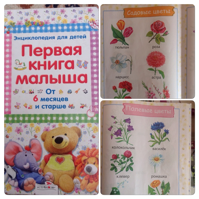 ТН Весна. День 2. Цветы!