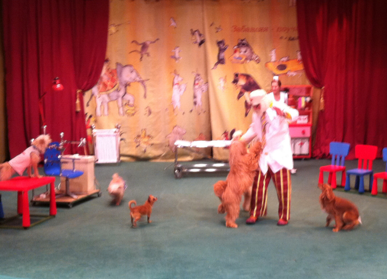 В гостях у дедушки Дурова ( большая сцена)