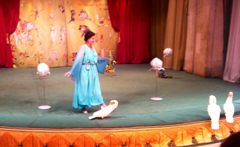 В гостях у дедушки Дурова ( большая сцена)