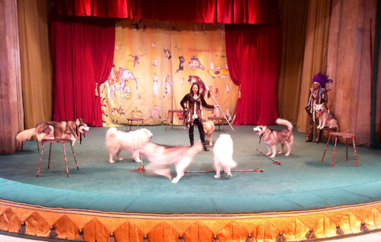 В гостях у дедушки Дурова ( большая сцена)