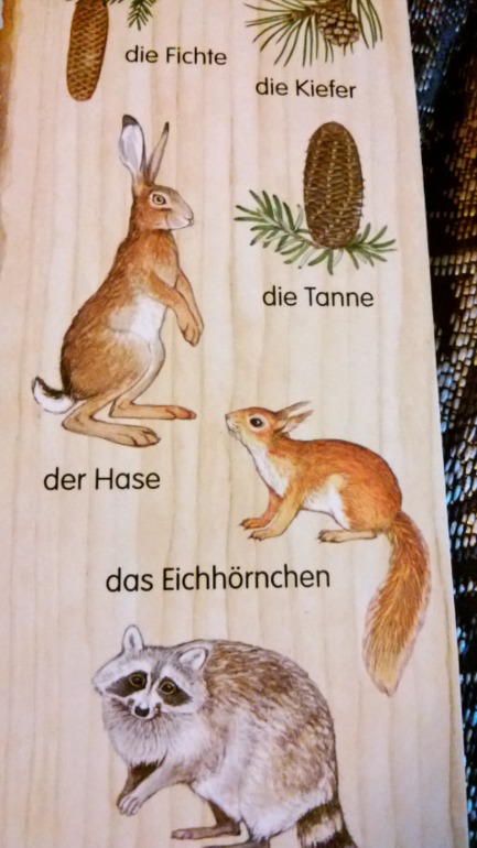 Белки..... белки.....