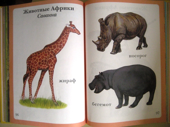 Наши любимые книги от 1 года до 2 лет.  Часть I