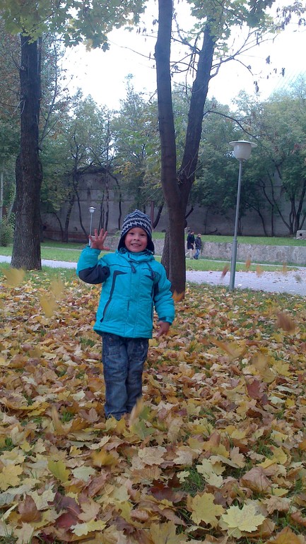 Осенняя прогулка