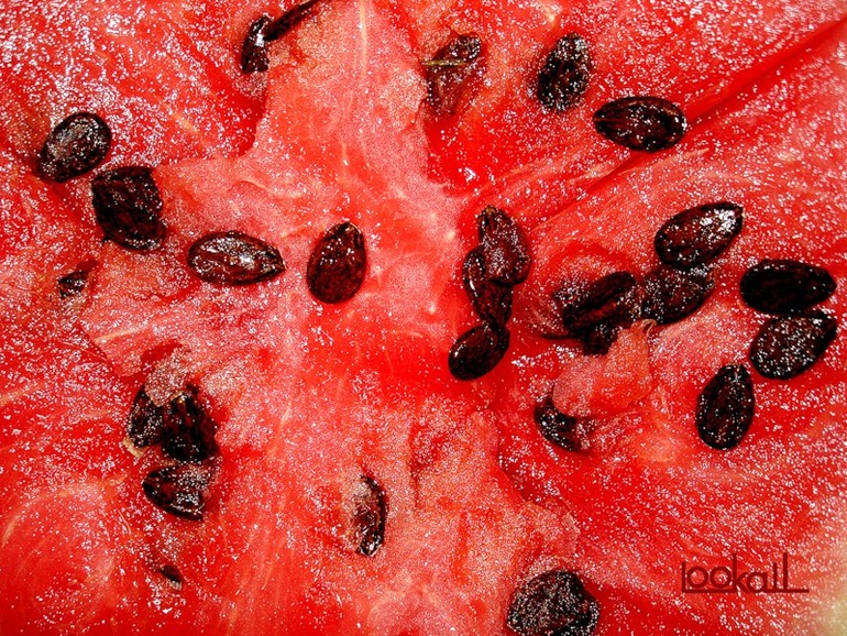 Хочу-у-у-у-у-у!!!!!!!!!!!